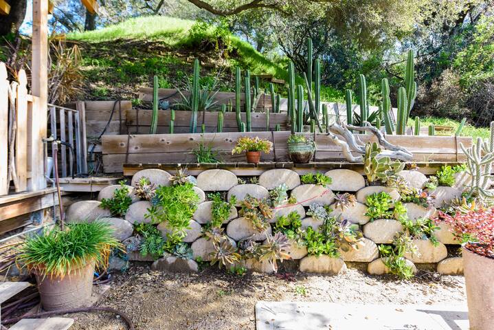 Unique Topanga Retreat 3-Building Compound gallery image 5