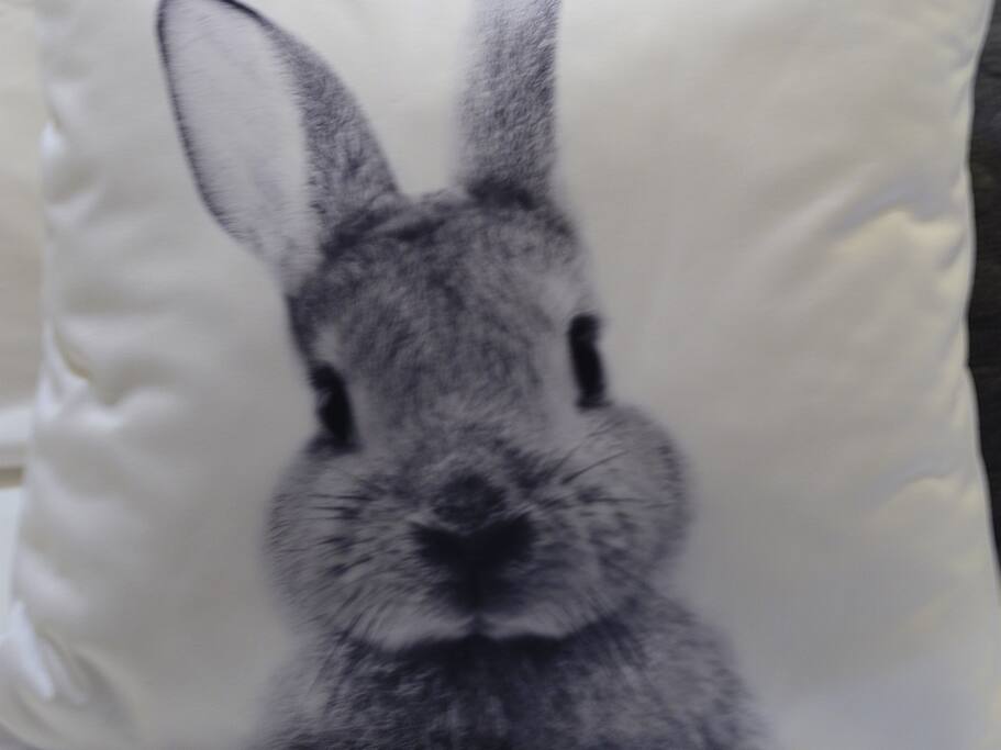 The Burrow Rabbit
