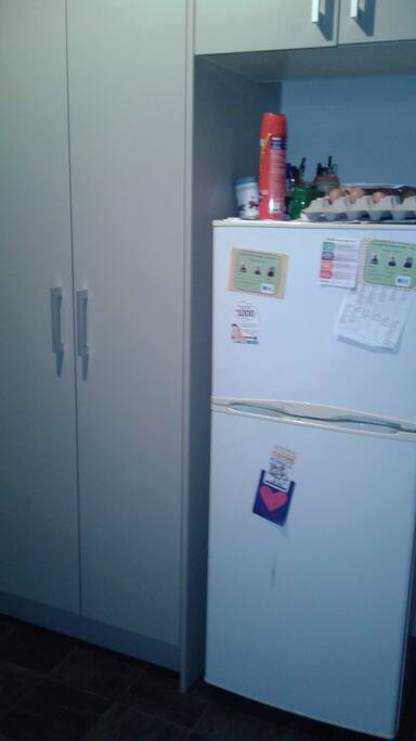 Kitchen pantry & fridge