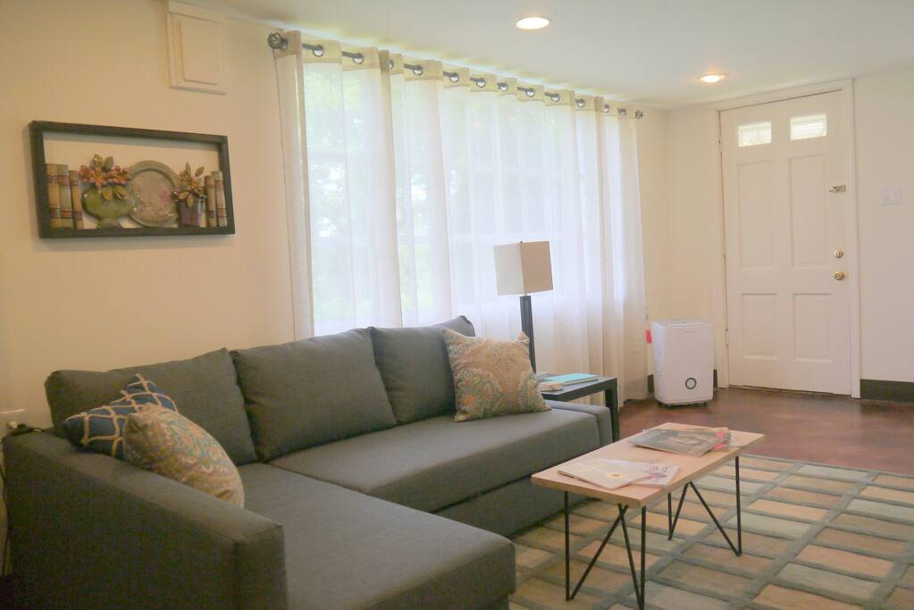 Living room wth Queen size sleeper sofa