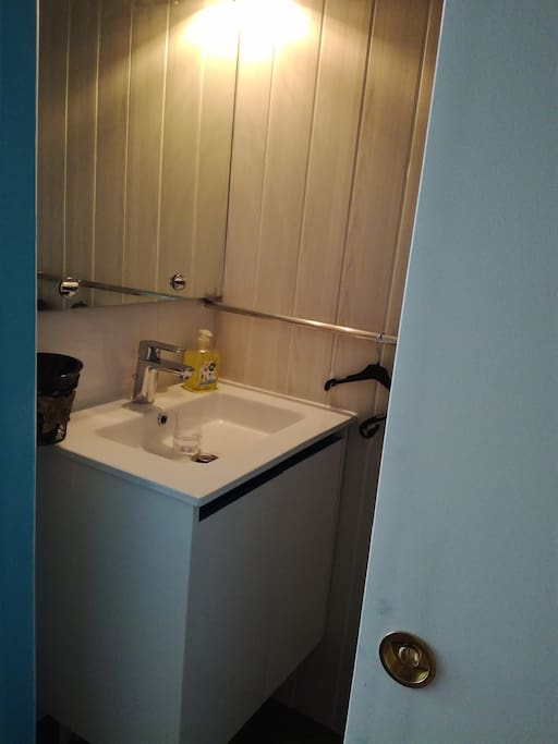 premier lavabo