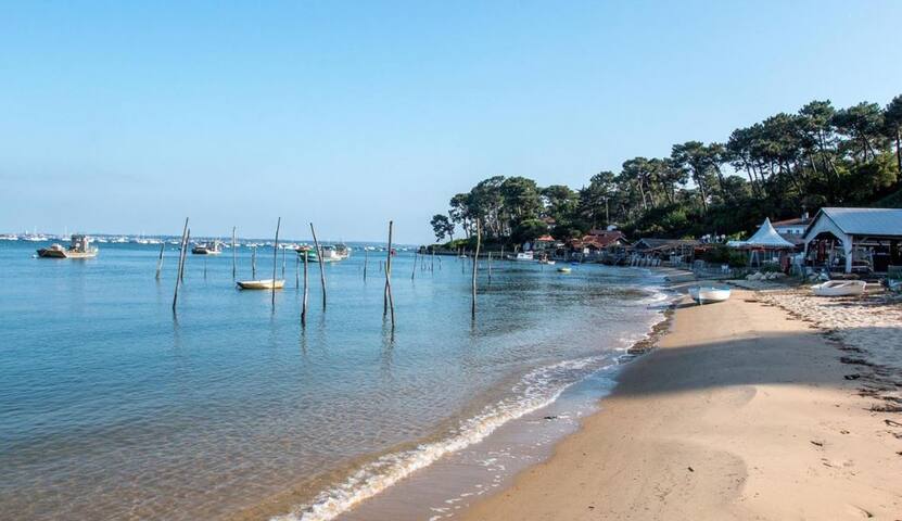 Grande villa piscine entre Bordeaux et les plages gallery image 4