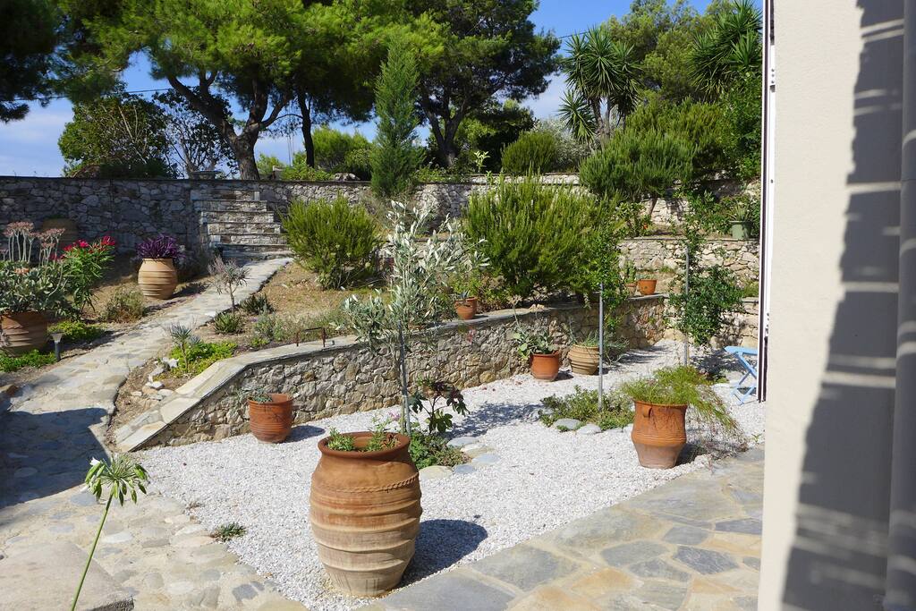 the garden