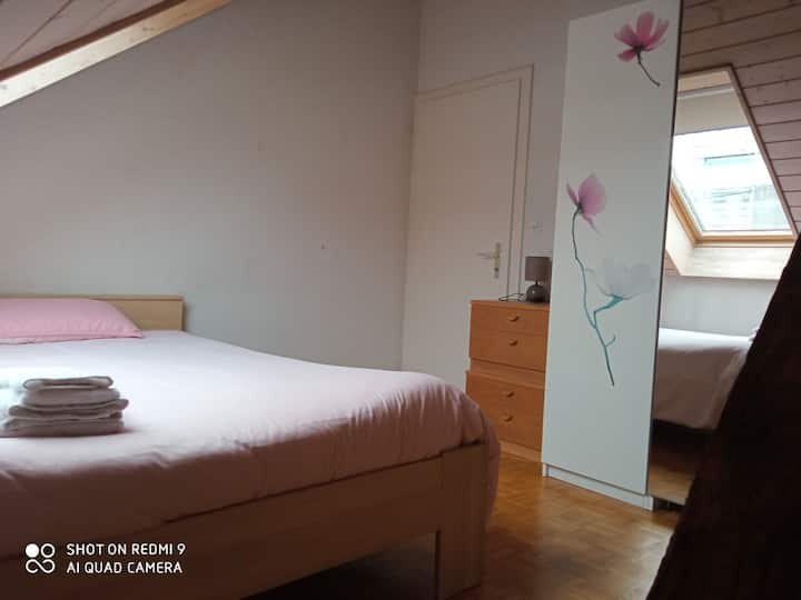 Lausanne Holiday Rentals & Homes Vaud, Switzerland Airbnb