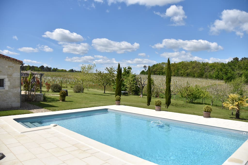 Great views over the vineyard.