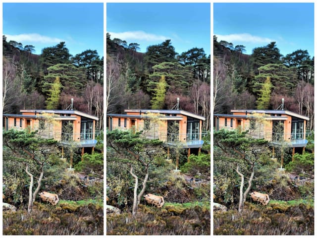 Airbnb Shieldaig Holiday Rentals Places To Stay Scotland