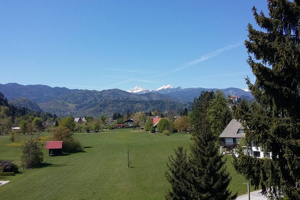 view from the balkony