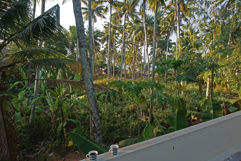 Sea view from rooftop terrace