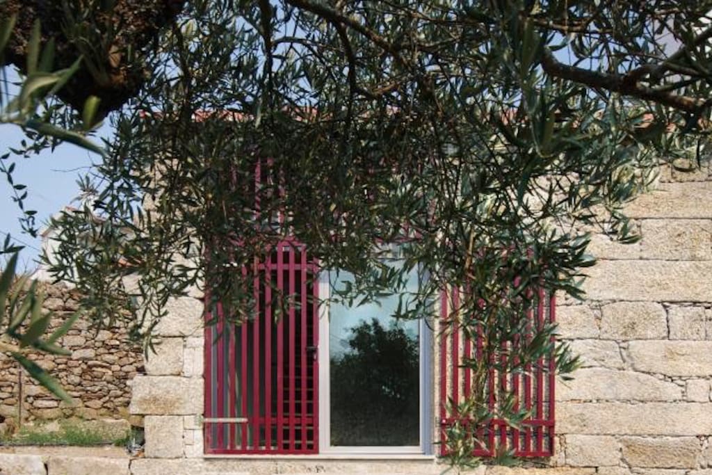 Porta de entrada pelo quintal da casa