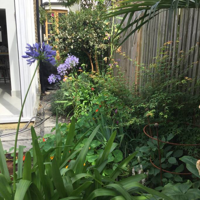 Lovely floral secluded garden