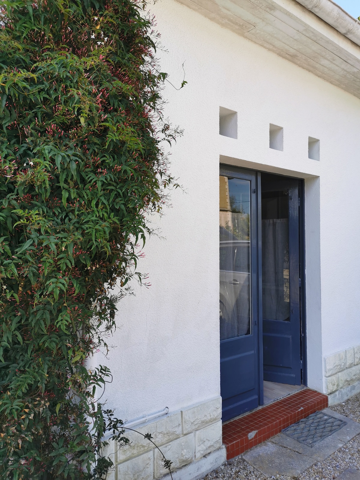 The entrance to the maisonnette features a pair of blue double doors framed by a textured wall. A decorative plant grows beside the entrance, adding a touch of greenery. The pathway is lined with stone, leading to the welcoming doors.