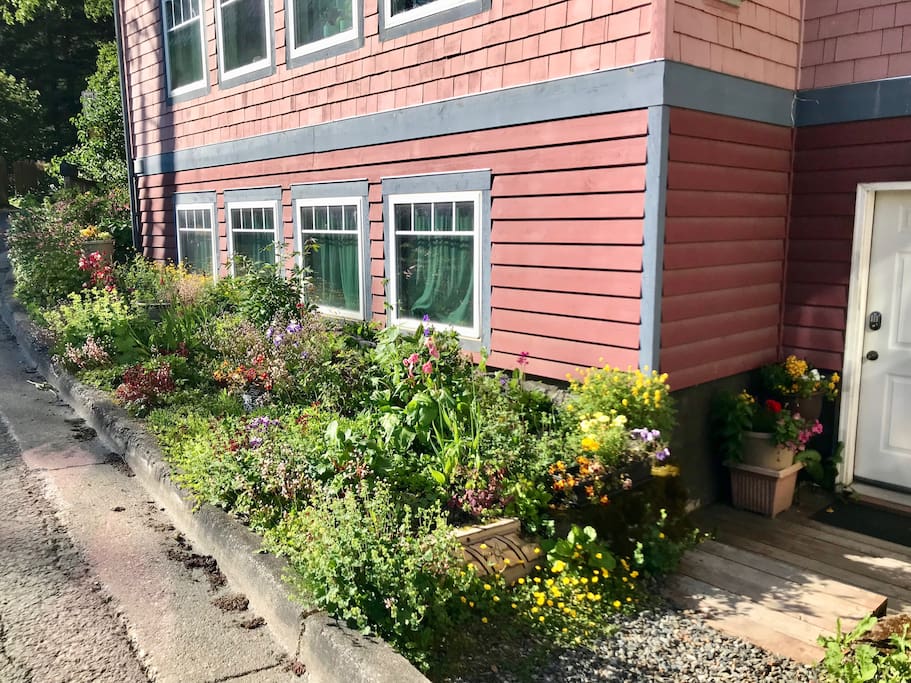Four windows open onto Laura's flower garden.