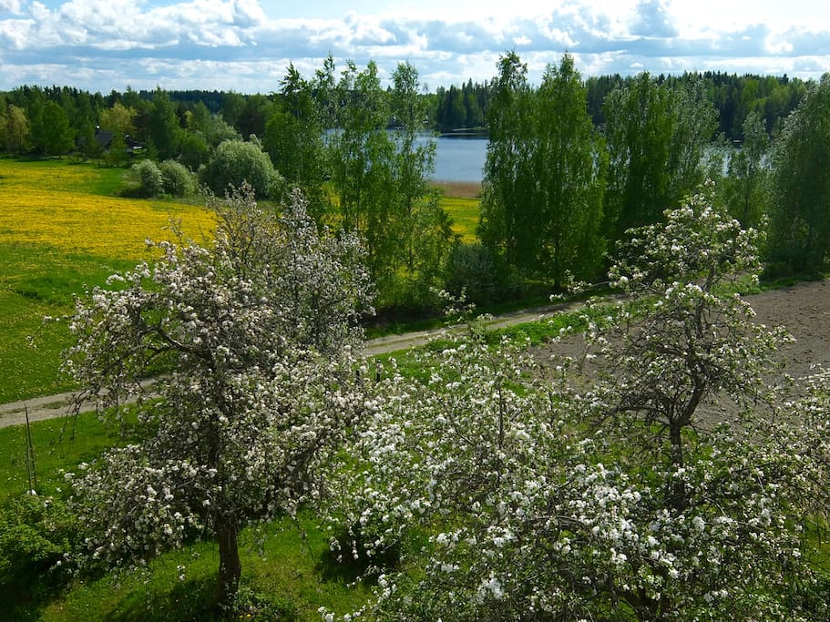 View to the lake from the balcony
