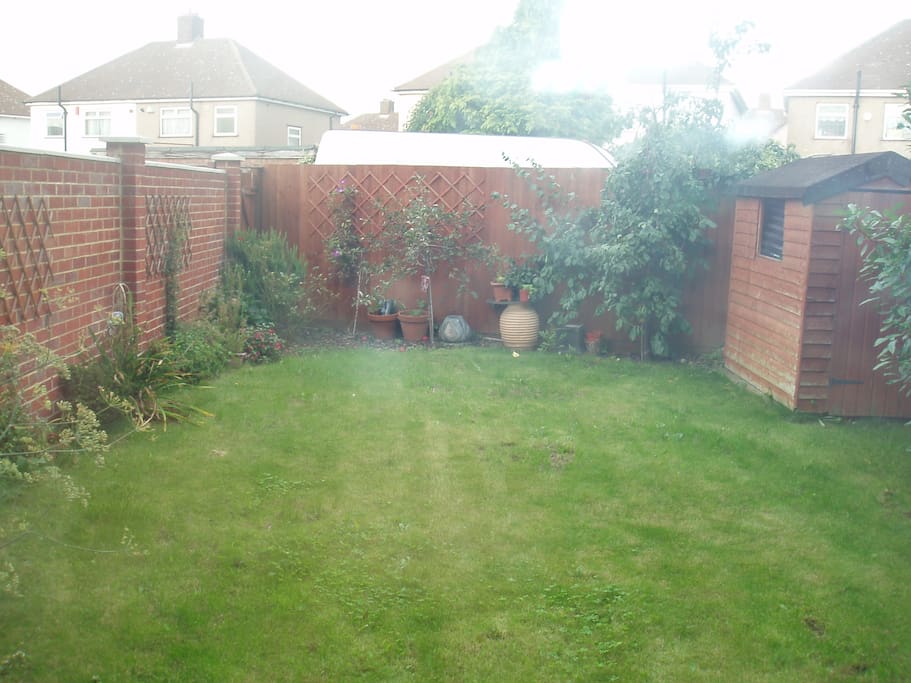 Garden View from Room