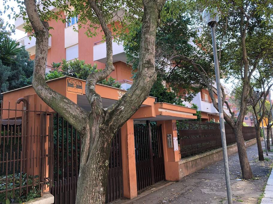 ingresso strada