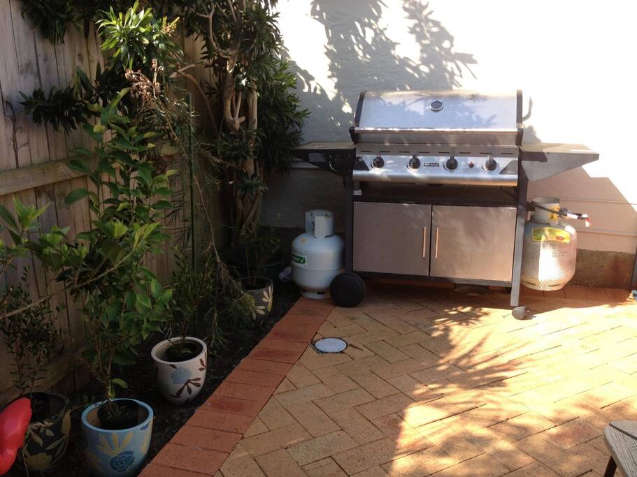 Courtyard Area
