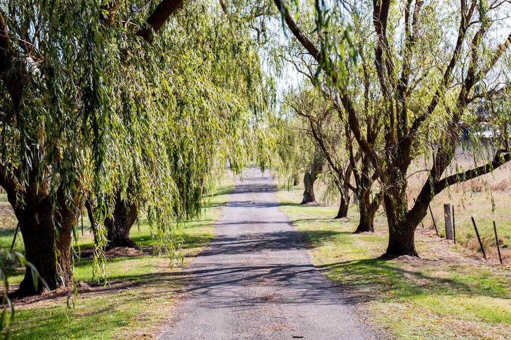 Driveway to property