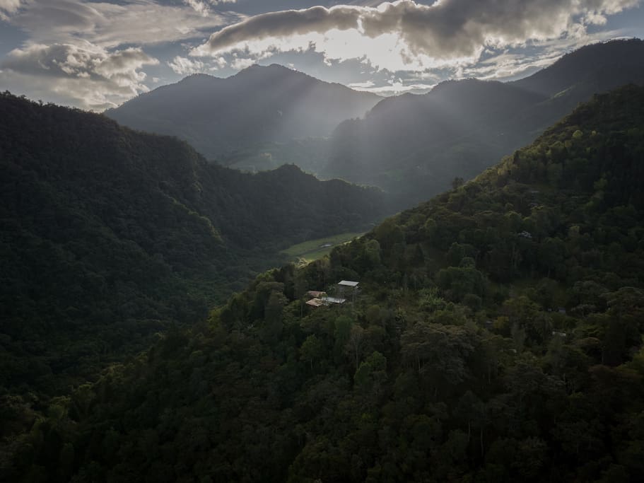 Cabin is surrounded by coffee trees and Cloud Forest.