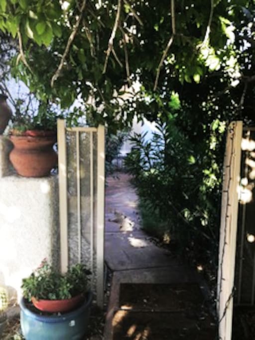 Private Courtyard