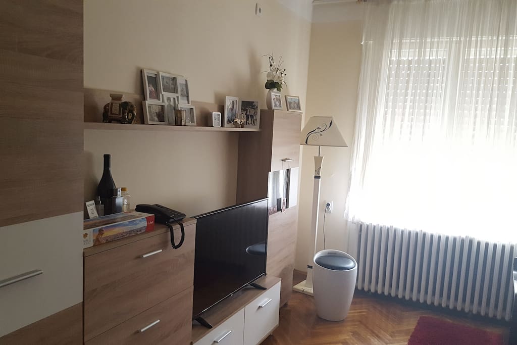 Pleasant atmosphere in a bright room