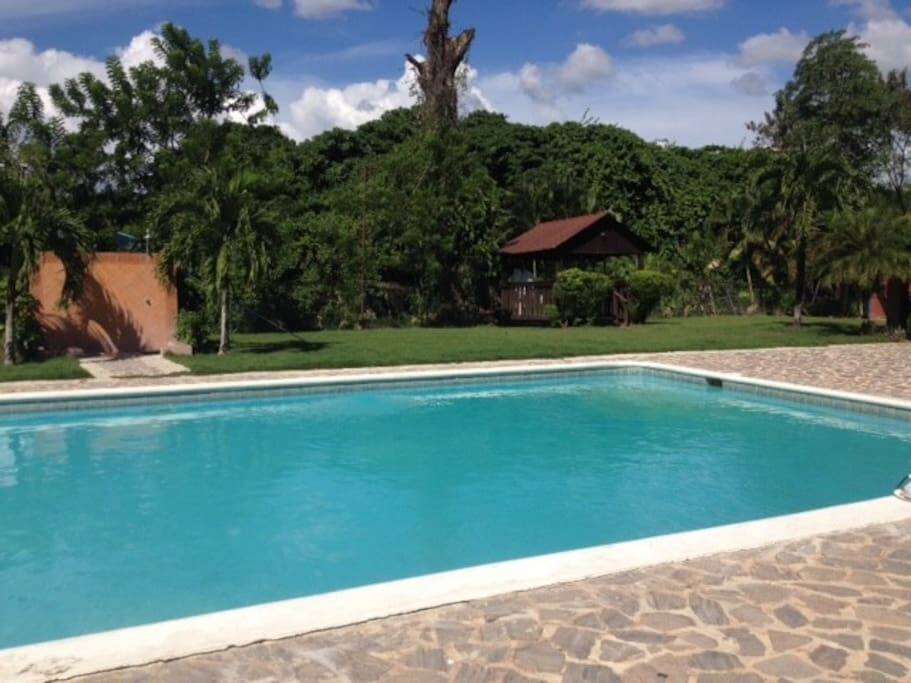 The pool with view of nature