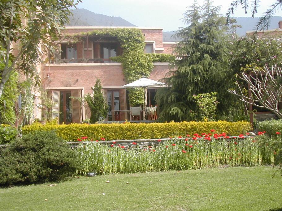 Frontyard of full home