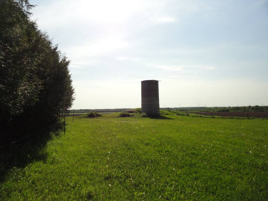 Our silo. A future project