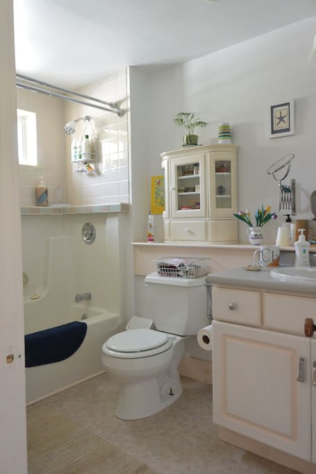 Guest bathroom
