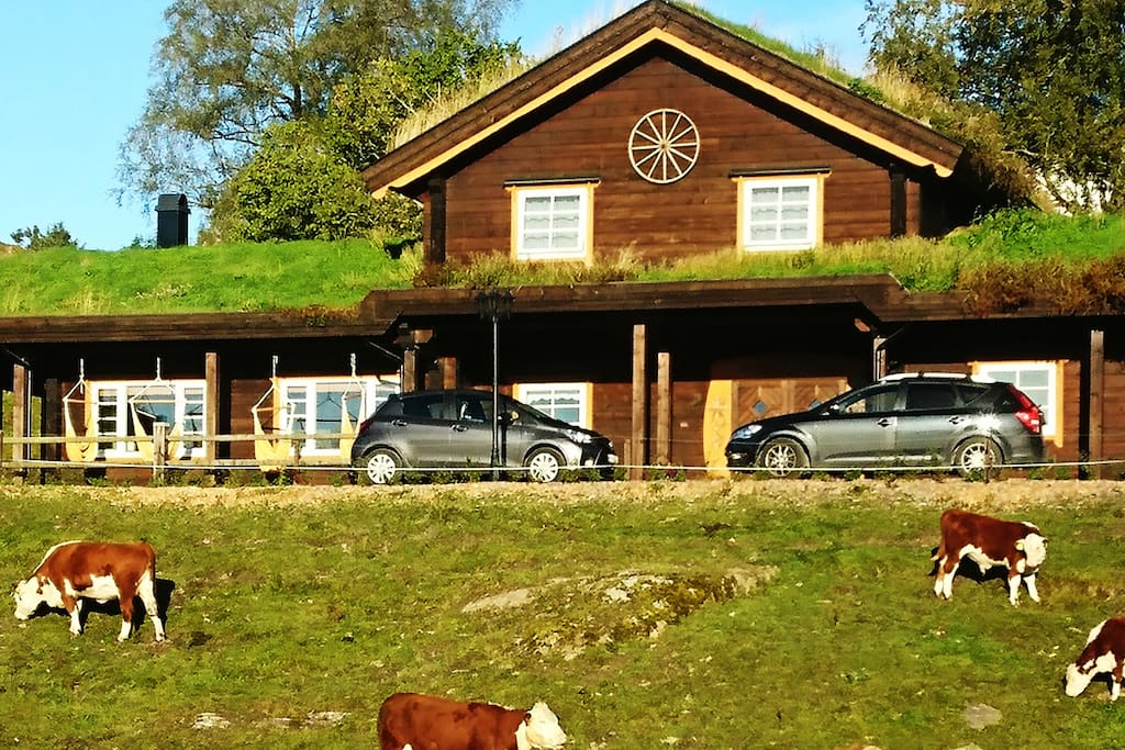 30 m long log house:)