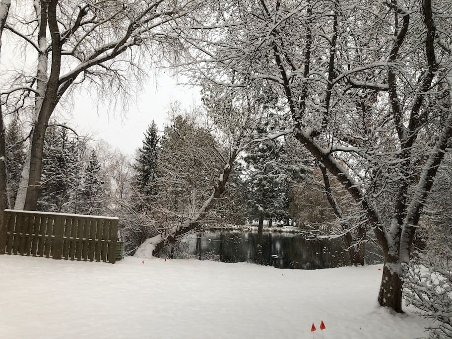 Recent snowfall (Veteran’s Day, 11/11) showing the beautiful Pond view. This is from kitchen window, and guest room faces the same direction. How peaceful and serene this is on a chilly morning.