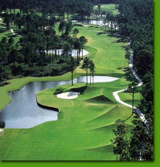 Cupp Course