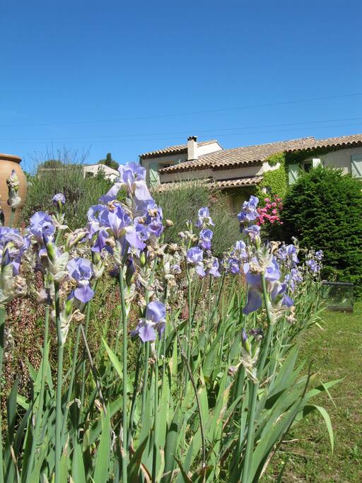 vue du jardin