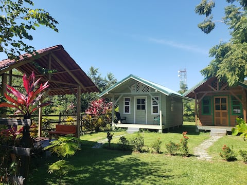 Casa Jacaranda Matapalo
