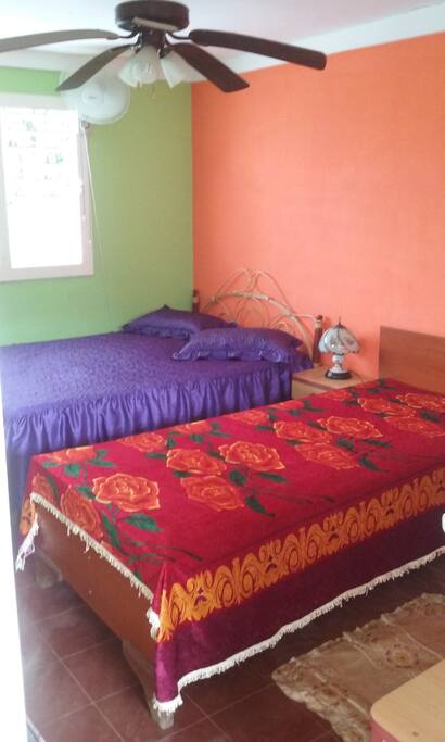 Habitación 2