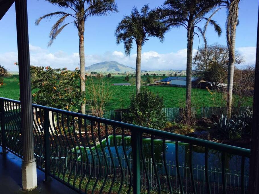 View from Deck