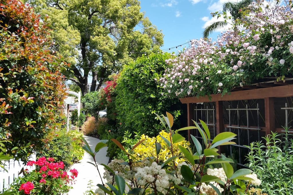Garden view from cabin patio