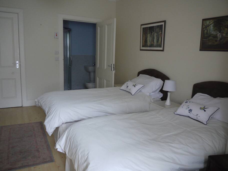 Bedroom with twin singles as option