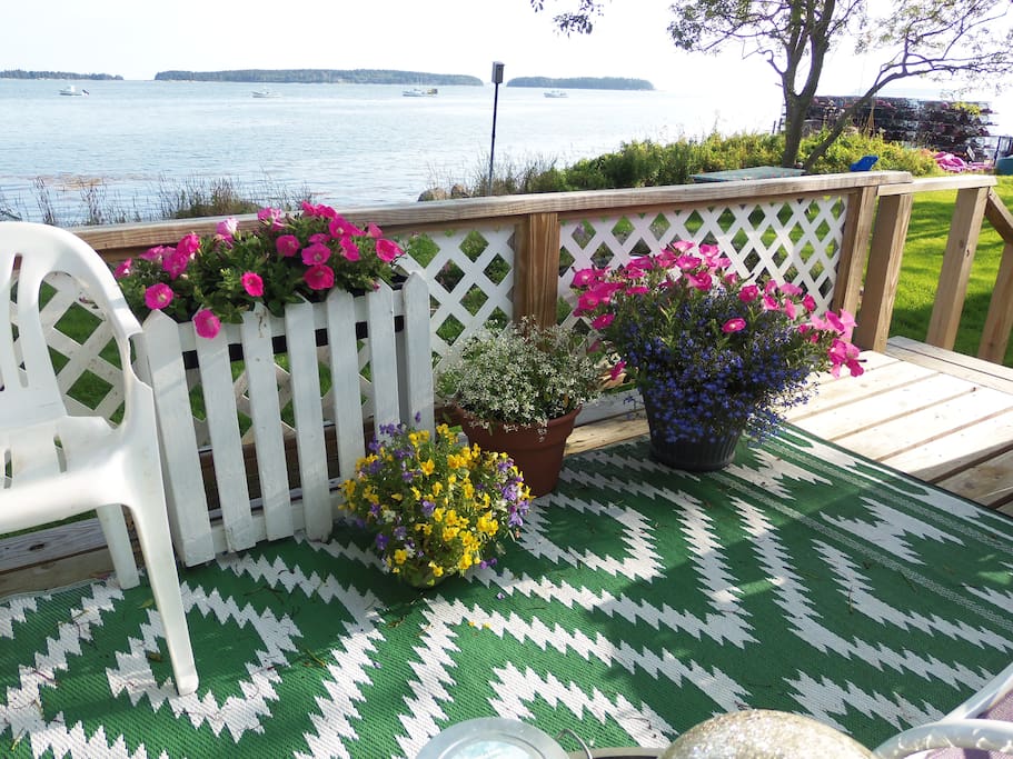 View from back deck.