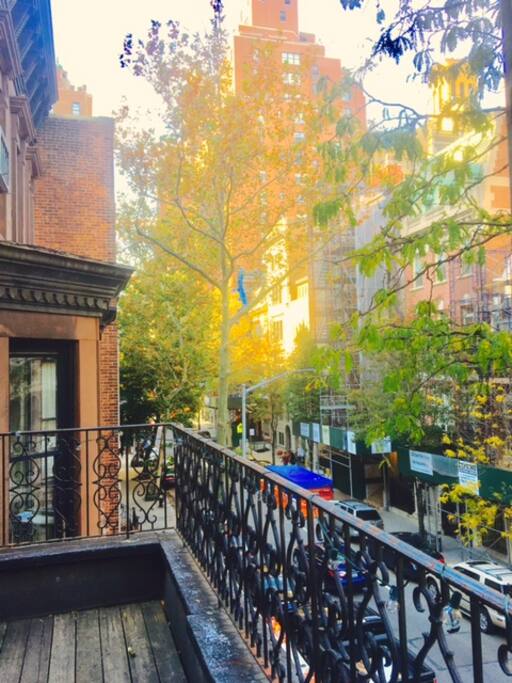 The Terrace View