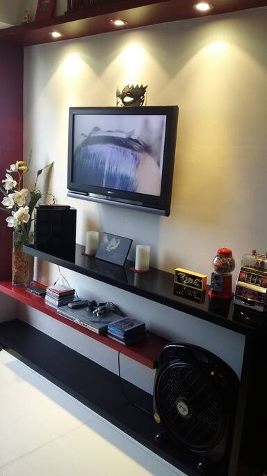 Wall Mounted TV, with DVD player