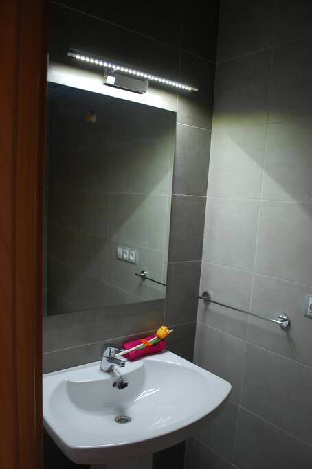 Baño en planta inferior