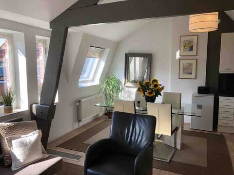 Cozy and cute apartment downtown