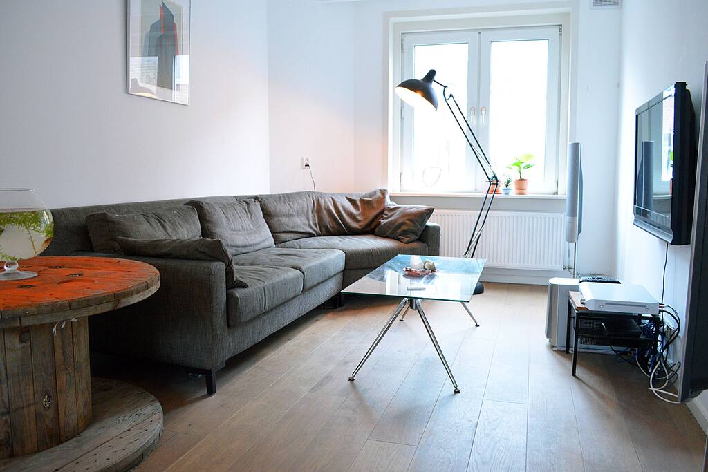 The well laid out living room