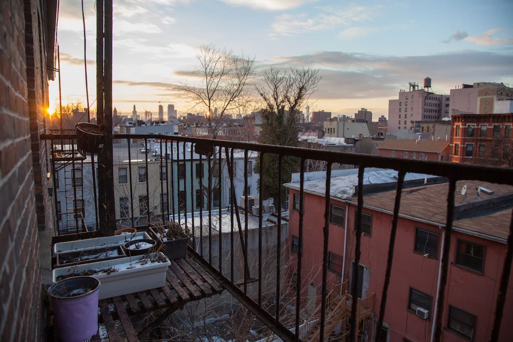 View from the fire escape.