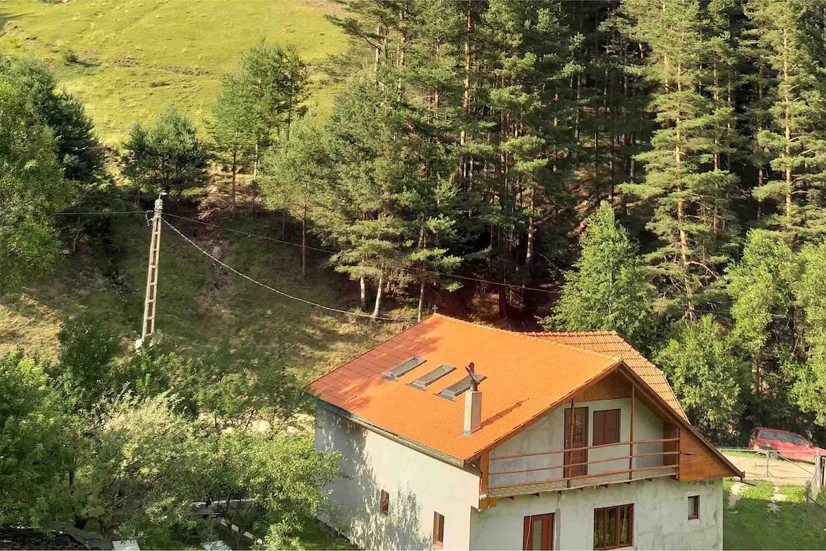 A hillside cabin features a sloped orange roof, contrasting with the natural greenery surrounding it. Large windows invite natural light and views of the forest, while a small balcony overlooks the landscape. Trees rise in abundance around the cabin, providing a sense of seclusion.