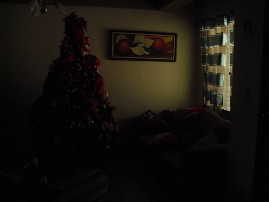 AREA DE LA SALA. 2 SOFAS