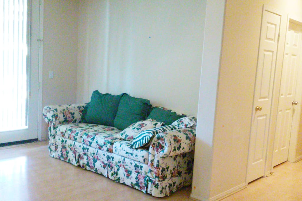Sofa Bed in our Entertainment Room