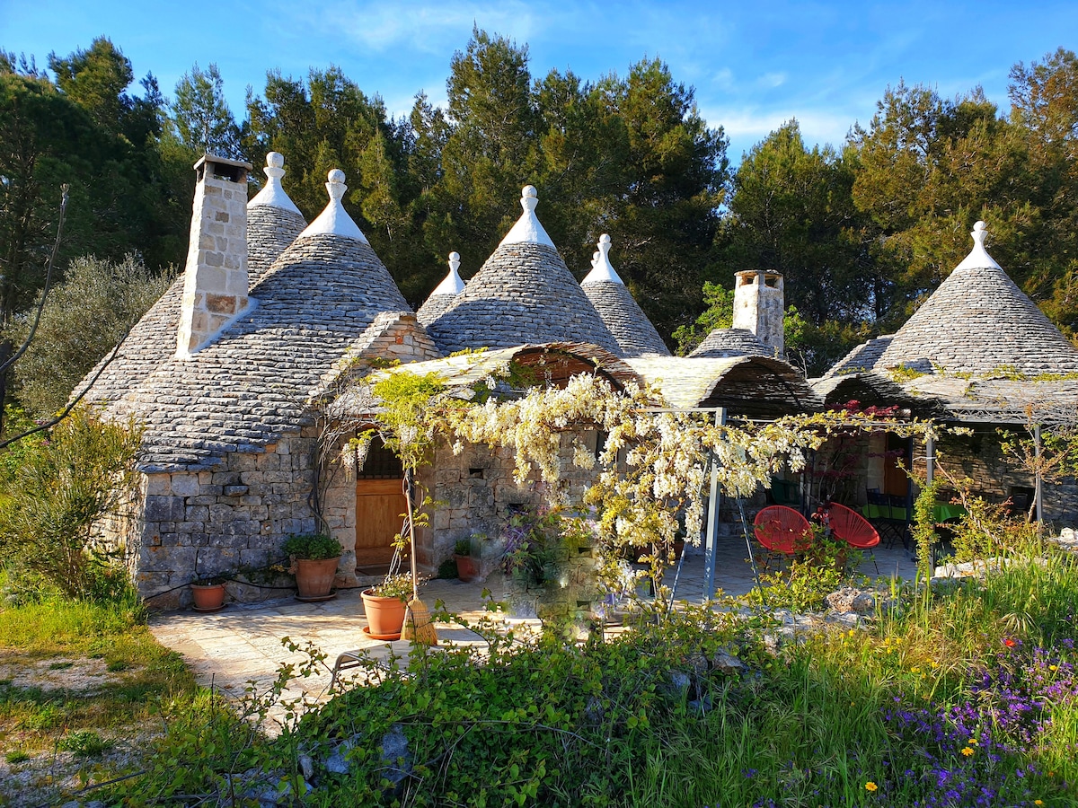 A collection of trullo structures features conical stone roofs and rustic stone walls. A vine-covered trellis provides shaded seating, and flowering plants surround the entrance, contributing to a serene and natural ambiance. Tall trees and green foliage create a lush backdrop.