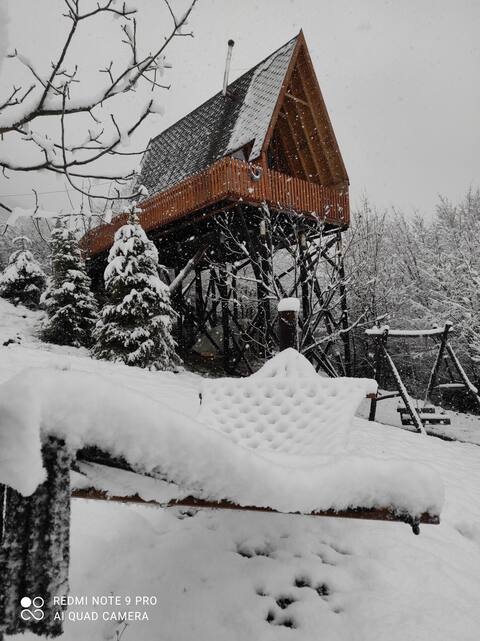 Top performing Airbnb: My barrier-free home In touch with nature Barrier-free life in nature in Geyve