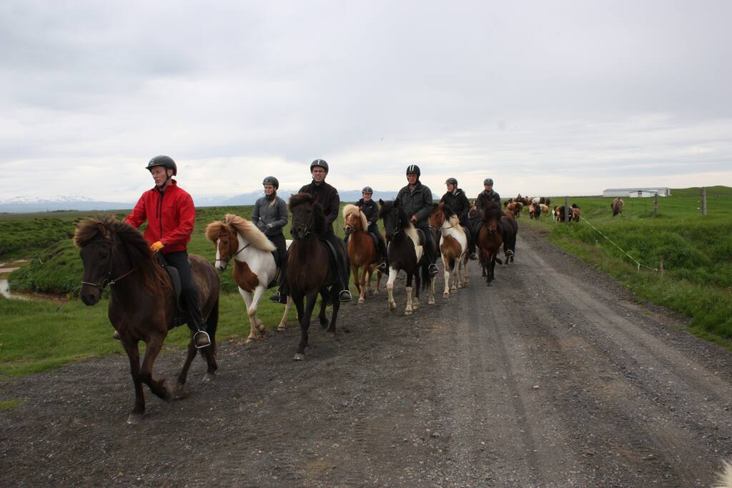 riding tour with tourists